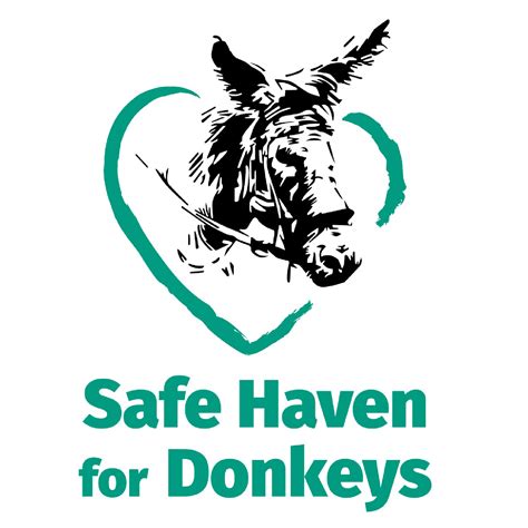safe haven for donkeys in the holy land|The UK charity helping Holy Land donkeys .